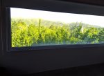 MVIMG_20191211_180445